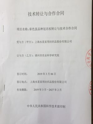 市農科院育種再獲新突破，多個新品種通過審定！技術轉讓開啟合作新篇章